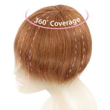 H-Topper Veloce Clip-In Human Hair Topper by Eve Hair