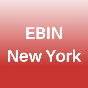 EBIN New York Lashes