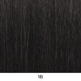 HBL-Debora Human Hair Blend Lace Front Wig by Vivica A. Fox