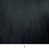 Accent Curl 38" Organique Synthetic HD Lace Front Wig by Shake-N-Go