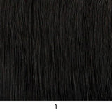 Louisa Freetress Human Hair Blend Lace Front Wig by Shake-N-Go