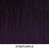 Multi Pack Deals! 16" X-Pression Twisted Up Springy Afro Twist 3X by Outre