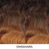 Deep Wave 002 FreeTress Equal Lace Synthetic Lace Front Wig by Shake-N-Go