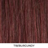 WLBII.SN36 Hand-Tied Lace Braided Glueless HD Synthetic Lace Front Wig by Outre