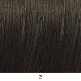 Salli Synthetic Lace Front Wig by It's a Wig