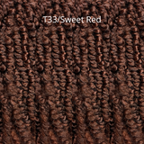[BUY 5 + 1 FREE] 24" Egyptian Passion Twist XL Crochet Braiding Hair By RastAfri